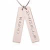 Two Vertical Bars Necklace