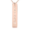 Vertical Bar Necklace